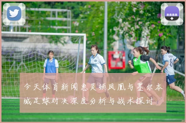 今天体育新闻惠灵顿凤凰与墨尔本城足球对决深度分析与战术探讨