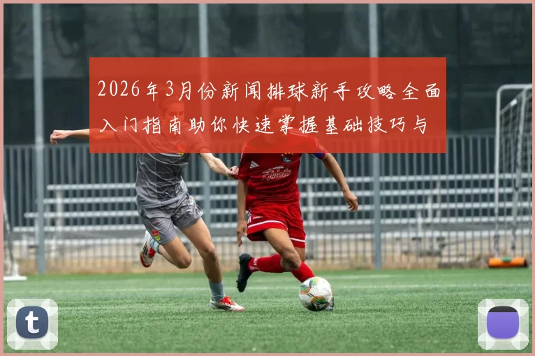 2026年3月份新闻排球新手攻略全面入门指南助你快速掌握基础技巧与战术